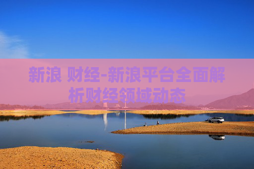新浪 财经-新浪平台全面解析财经领域动态