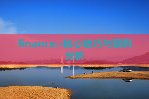 finance.-核心技巧与案例分析