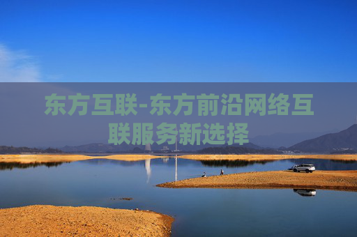 东方互联-东方前沿网络互联服务新选择