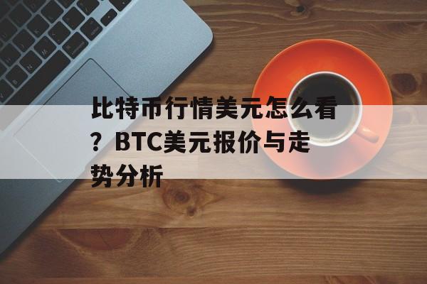 比特币行情美元怎么看？BTC美元报价与走势分析