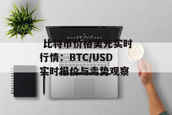  比特币价格美元实时行情：BTC/USD实时报价与走势观察